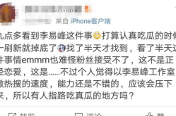娱乐吃瓜君李易峰,李易峰风波背后的真相与反思