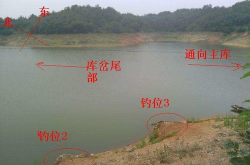 秋季水库钓鱼技巧,掌握技巧，收获满满