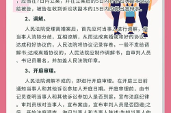 起诉离婚流程怎么走,从立案到判决的全程指南