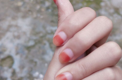 染指甲的花叫什么名字,凤仙花的美丽传说与实用价值”