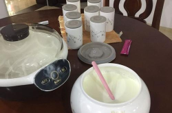 酸奶机自制酸奶的危害,潜在风险与安全指南