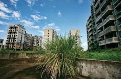 海南房价2021最新价格,揭秘热门城市房价走势与投资潜力